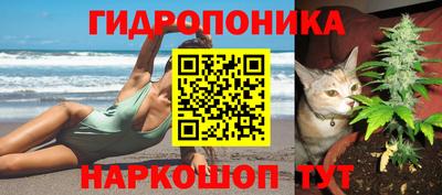 apvp Краснокаменск
