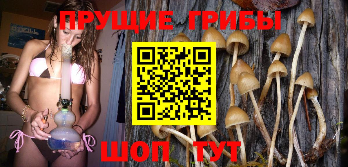 Псилоцибиновые грибы ЛСД Конаково