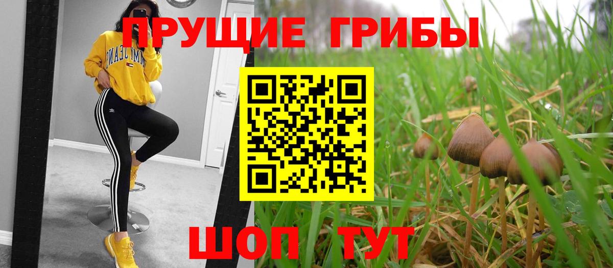 Конаково  Псилоцибиновые грибы прущие грибы  Вход с VPN 